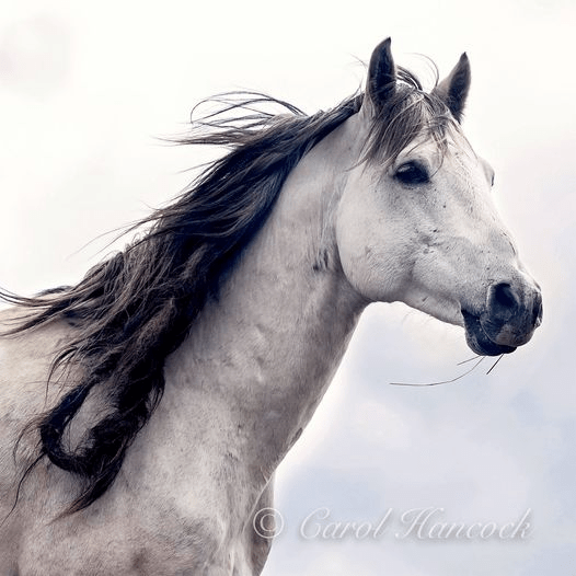 This image has an empty alt attribute; its file name is image-70.png